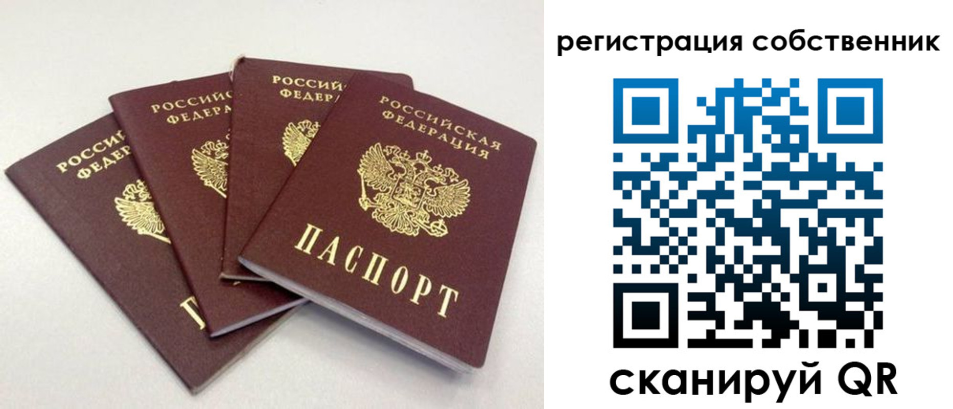 прописка для школы в Галиче